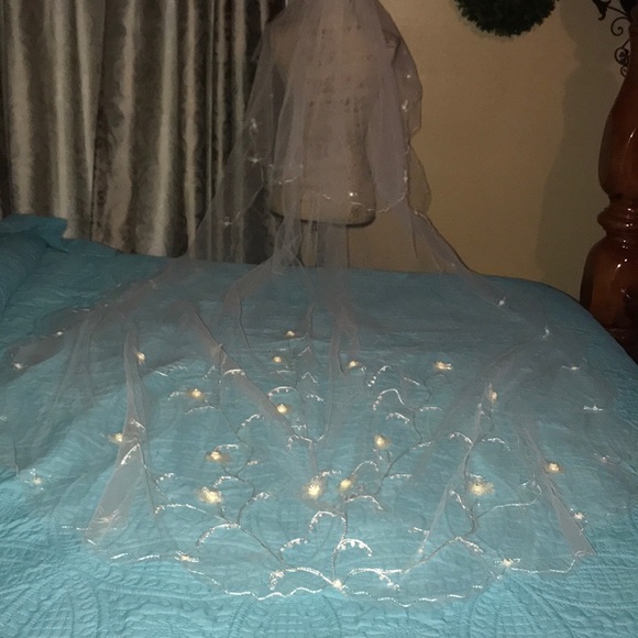 NEW 2T Chapel hand beaded embroidered  veil main image 5